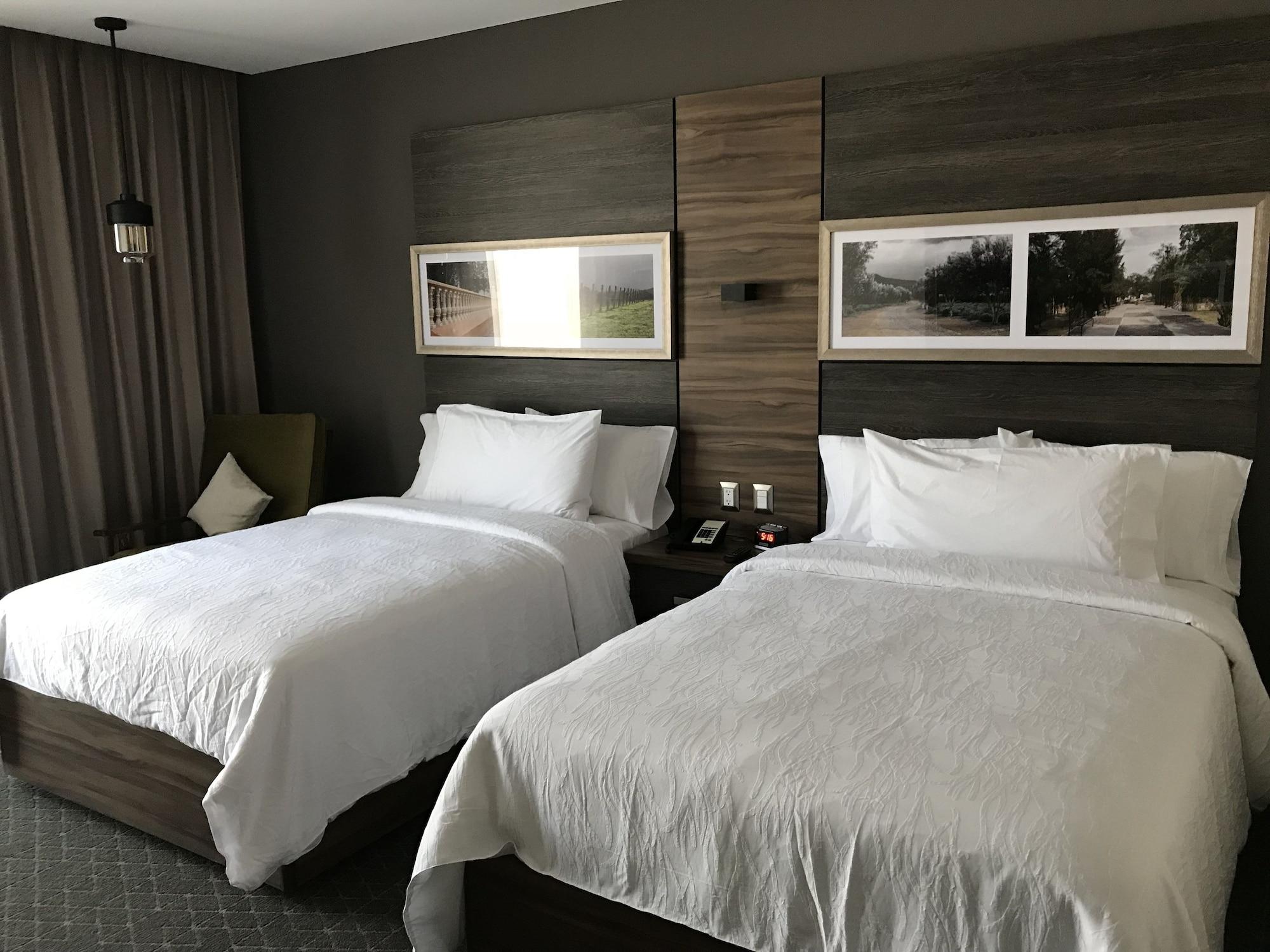 Hilton Garden Inn Ακουασκαλιέντες Εξωτερικό φωτογραφία